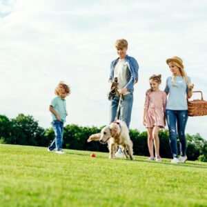 Rollrasen, Rollrasen kaufen Köln, Bester Rollrasen Köln