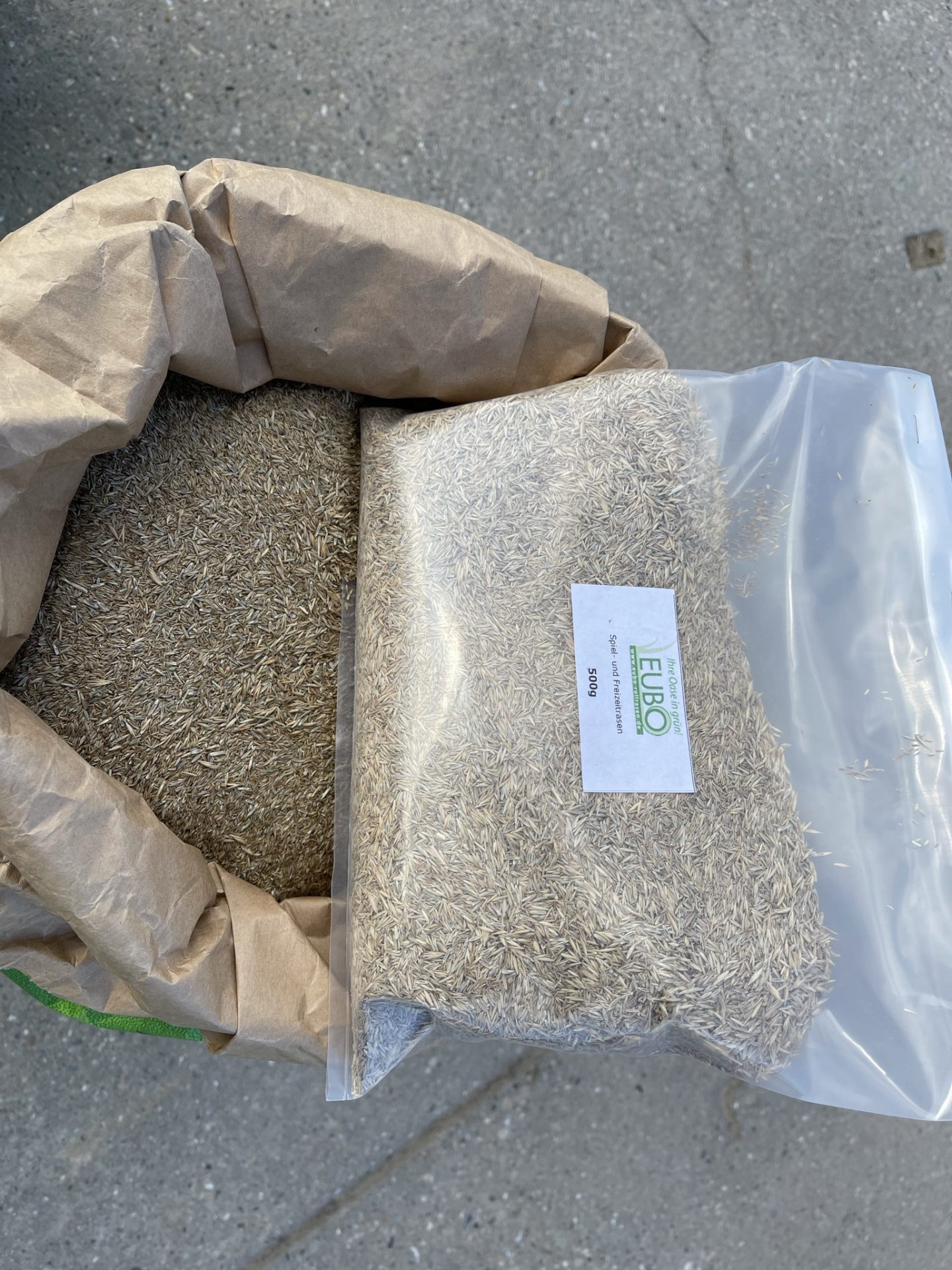 Rasensamen Spiel und Sportrasen