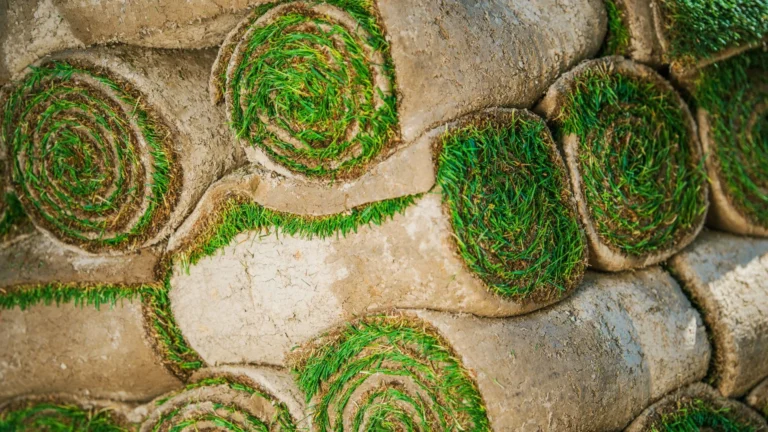 Aufgerollte frische Rasensoden übereinandergestapelt