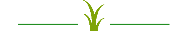 Grünes Gras-Symbol mit horizontalen Linien